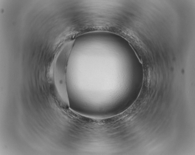 X0000088660696200706081703