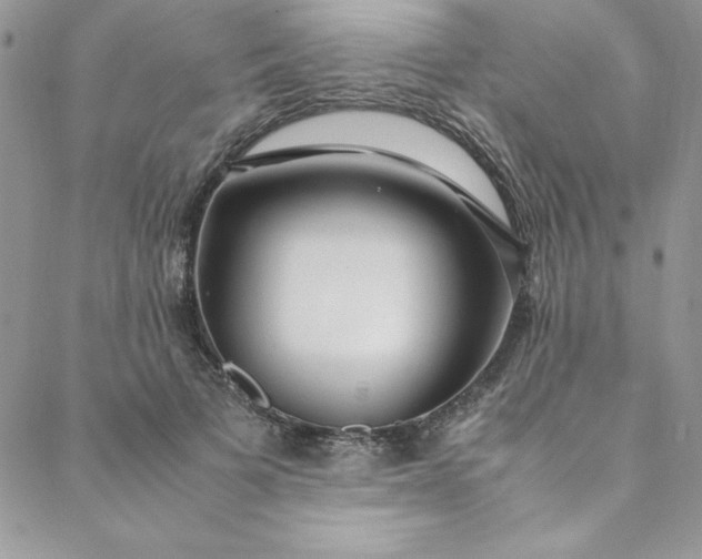 X0000088660697200706081703