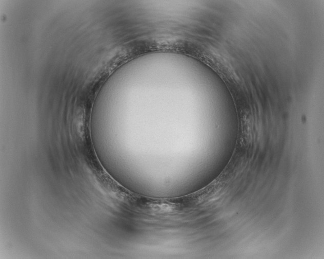 X0000088660698200706081703