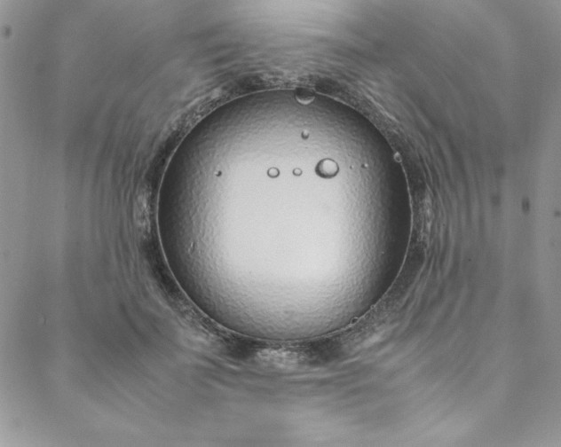 X0000088660699200706081703