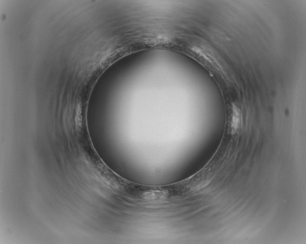 X0000088660700200706081703