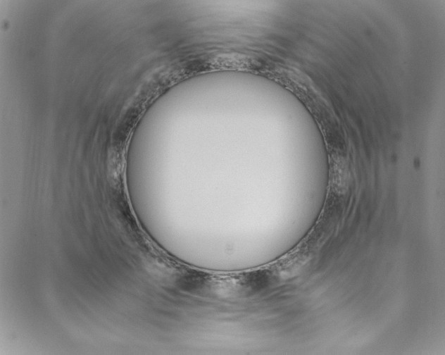 X0000088660701200706081703