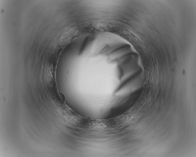 X0000088660702200706081703