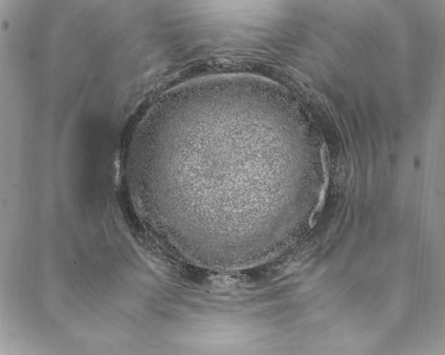 X0000088660703200706081703