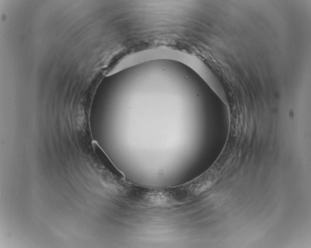 X0000088660704200706081703