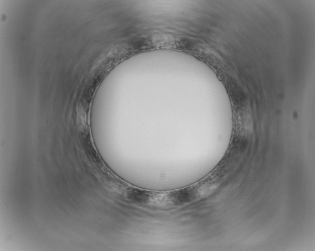 X0000088660705200706081703