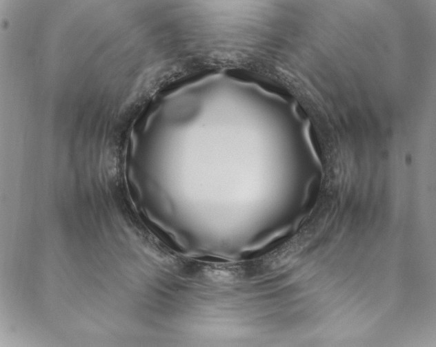 X0000088660706200706081703