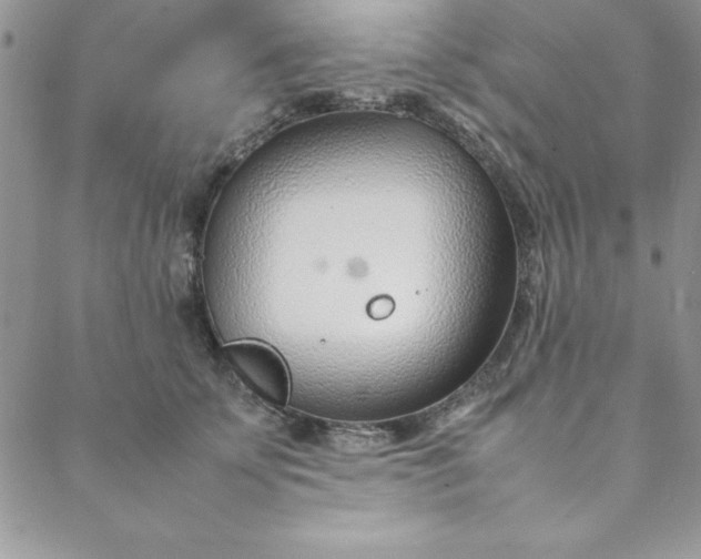 X0000088660707200706081703