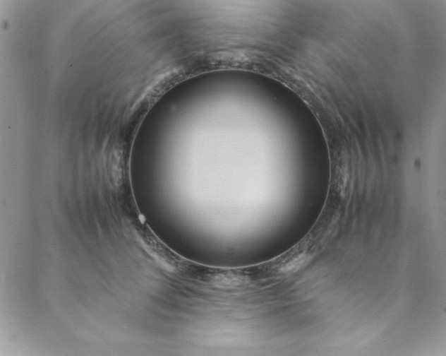 X0000088660708200706081703