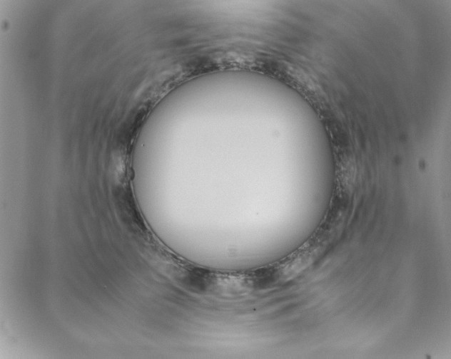 X0000088660709200706081703