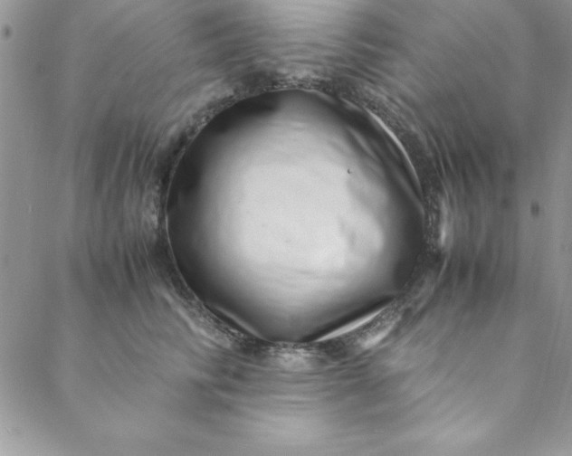 X0000088660710200706081703