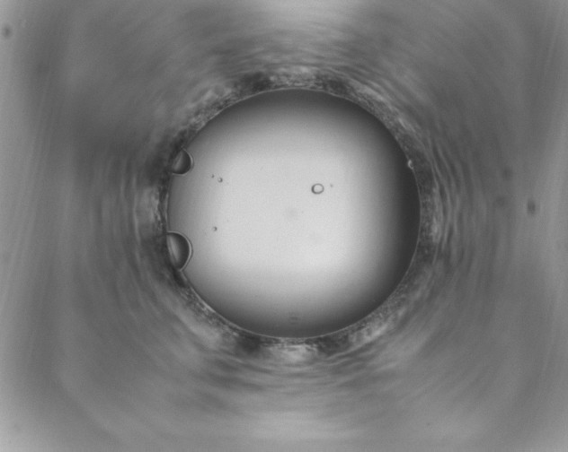 X0000088660711200706081703