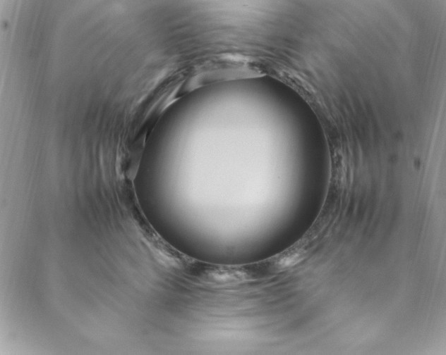 X0000088660712200706081703