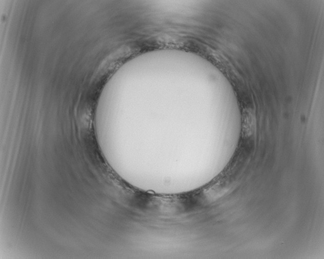 X0000088660713200706081703