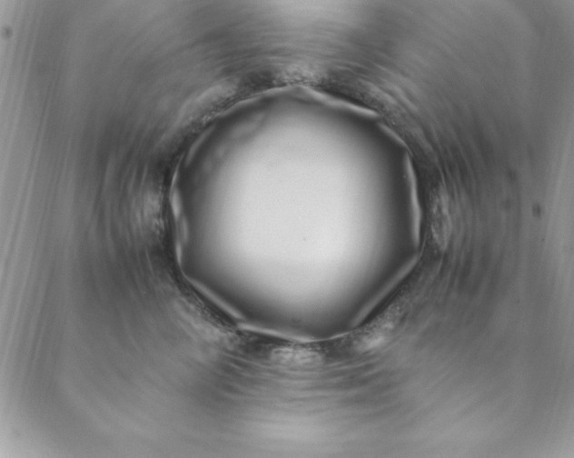 X0000088660714200706081703