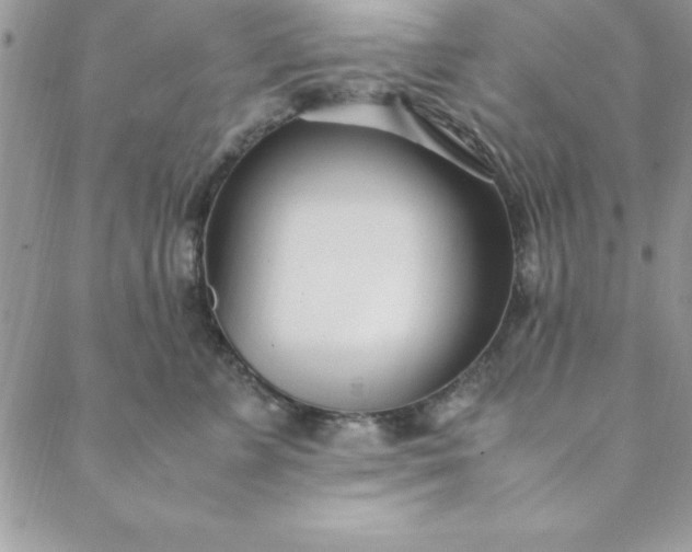 X0000088660715200706081703