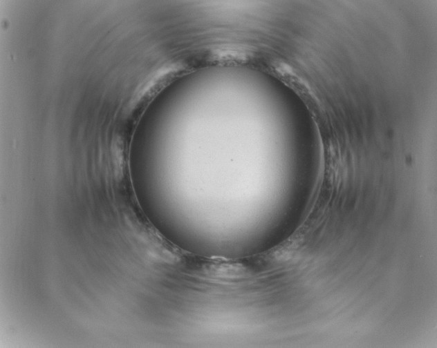 X0000088660716200706081703