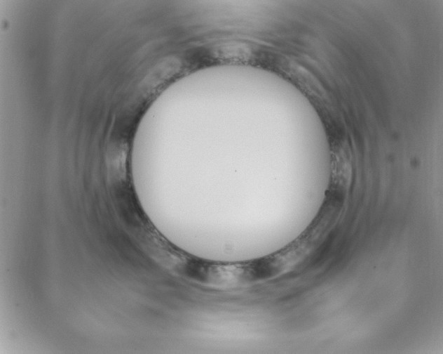 X0000088660717200706081702