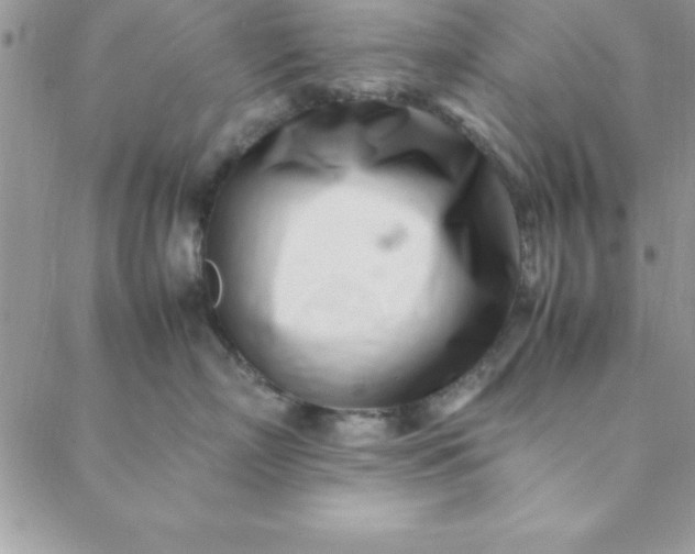 X0000088660718200706081702