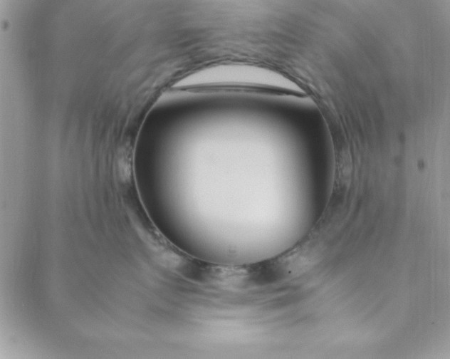 X0000088660719200706081702