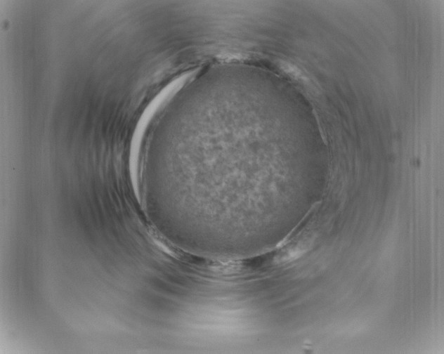 X0000088660720200706081702