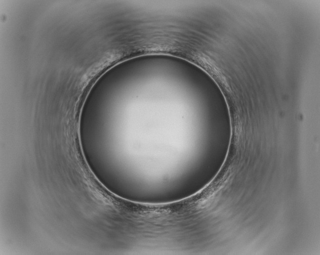 X0000088660721200706081702