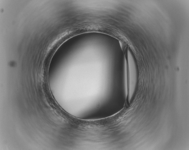 X0000088660722200706081702