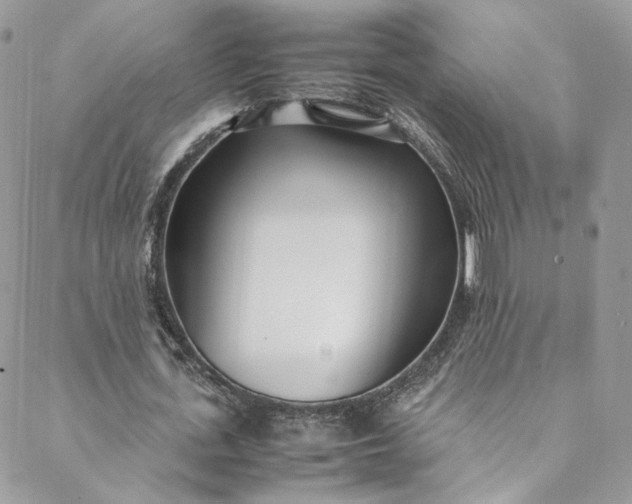 X0000088660723200706081702