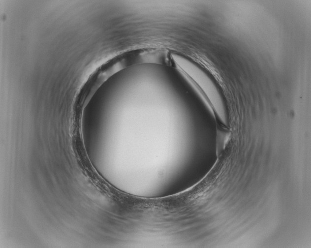 X0000088660724200706081702