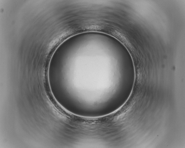 X0000088660725200706081702