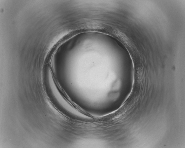 X0000088660726200706081702