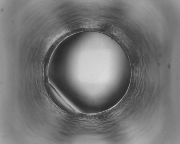 X0000088660727200706081702