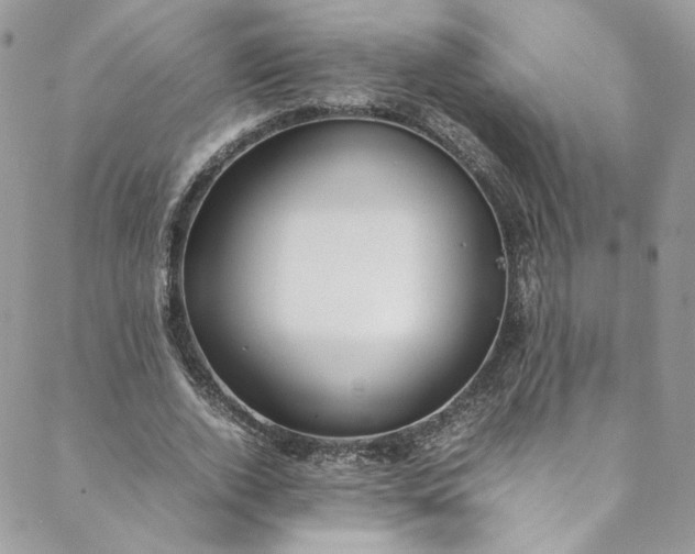 X0000088660728200706081702