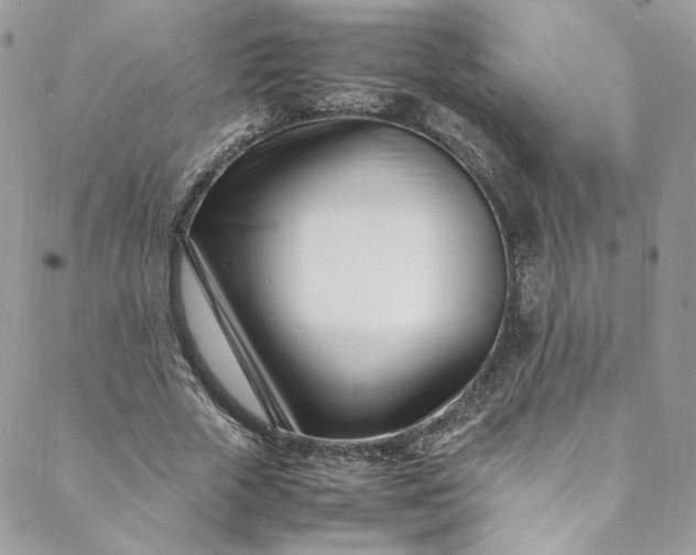 X0000088660729200706081702