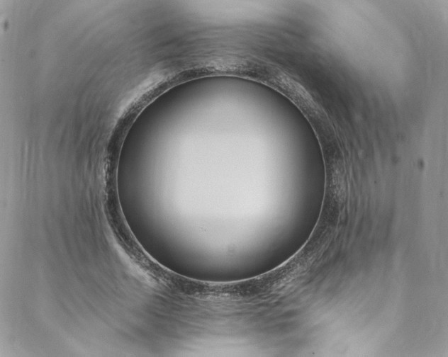 X0000088660730200706081702