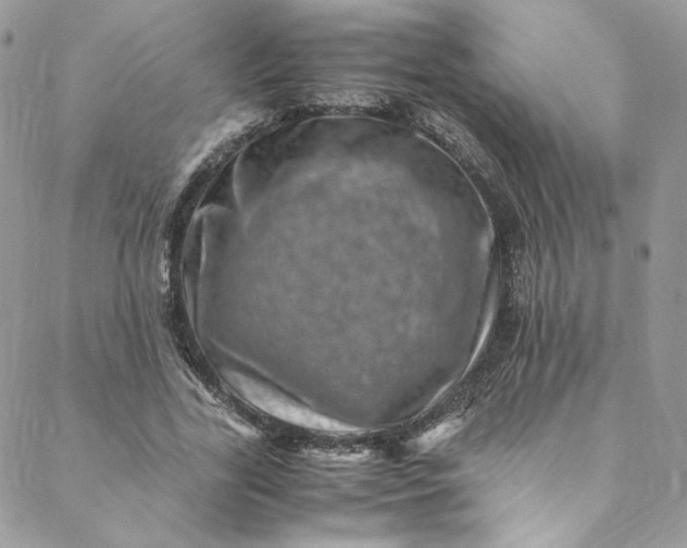 X0000088660731200706081702