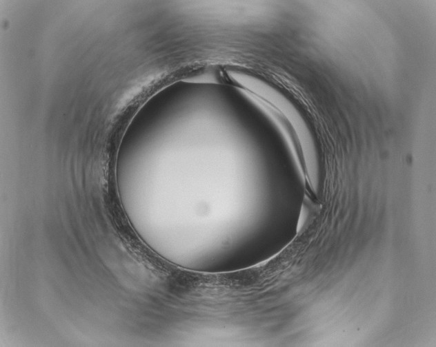 X0000088660732200706081702