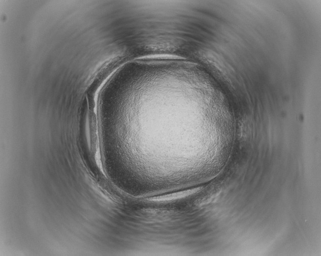 X0000088660733200706081702