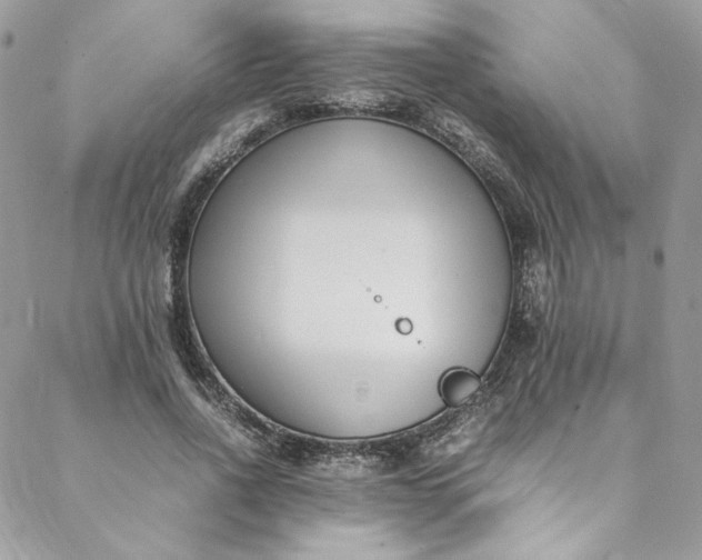 X0000088660734200706081702