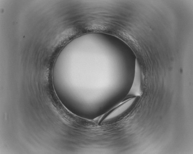 X0000088660735200706081702