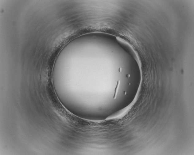 X0000088660736200706081702