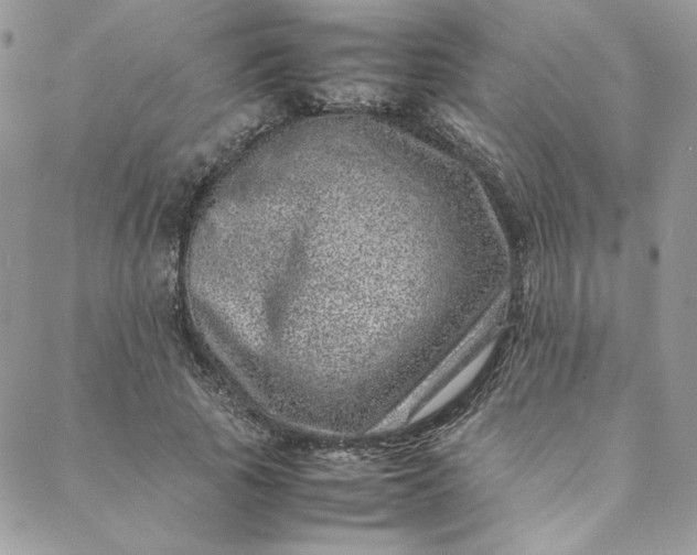 X0000088660737200706081702