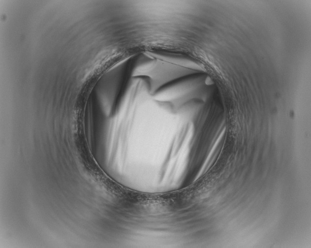 X0000088660738200706081702