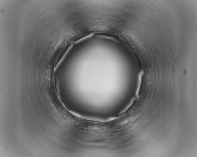 X0000088660739200706081702