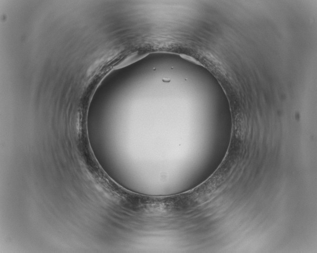 X0000088660740200706081702