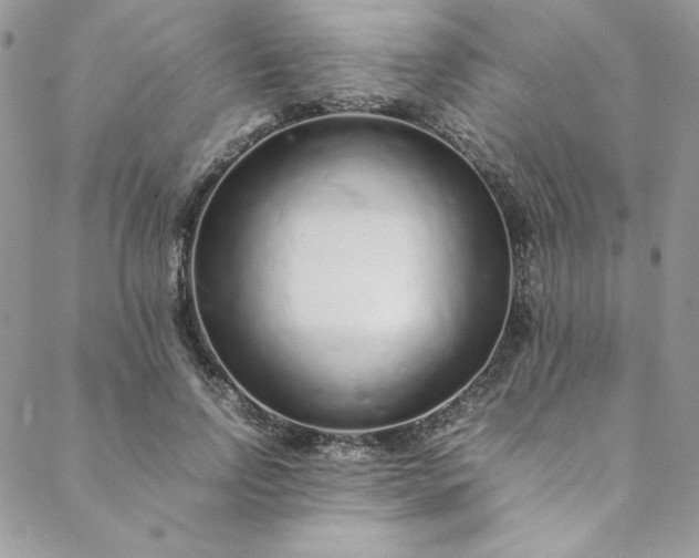 X0000088660742200706081702