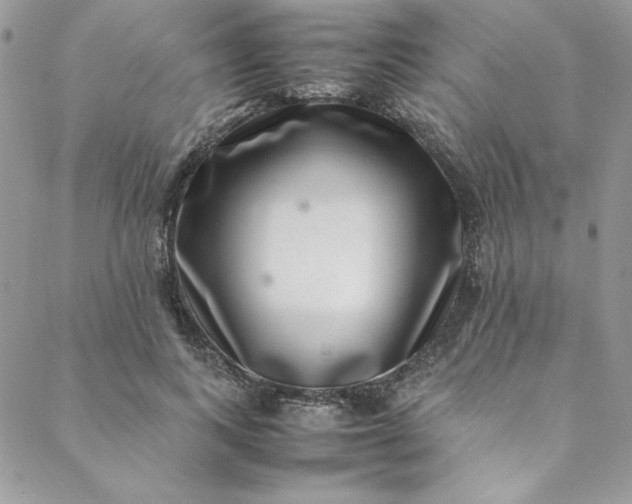 X0000088660743200706081702