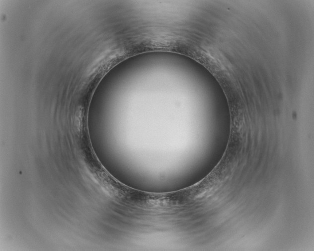 X0000088660744200706081702