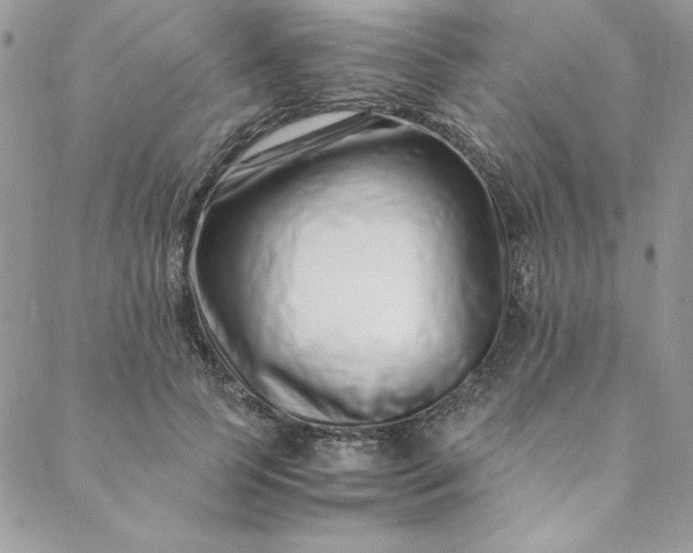 X0000088660745200706081702