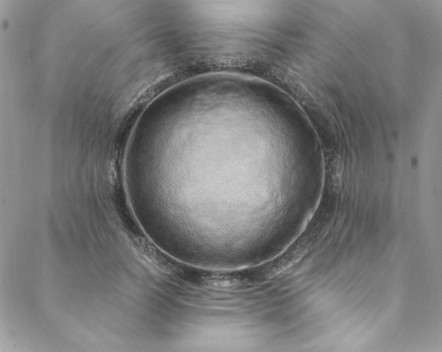 X0000088660746200706081702